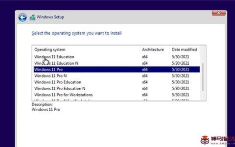 Windows11官方原版怎样安装？Windows11MSDN版安装方法步骤
