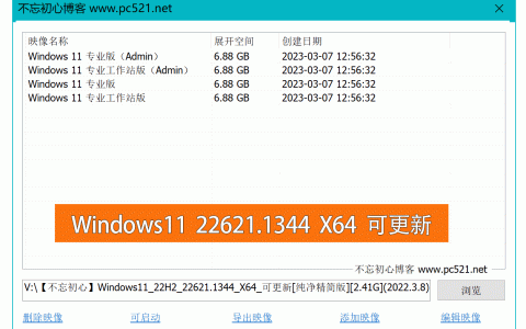 免费下载【不忘初心】 Windows11 22H2 (22621.1344) X64 可更新[纯净精简版][2.41G](2023.3.8)