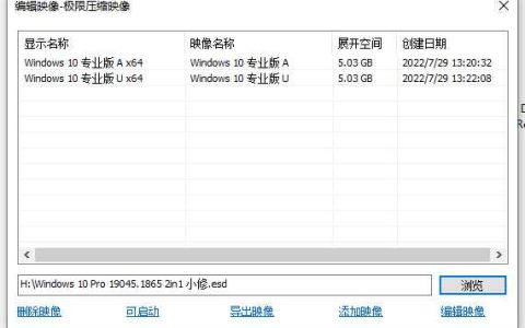 小修 Windows10 无更新版 Pro 19045.2728 轻度精简 游戏版 二合一