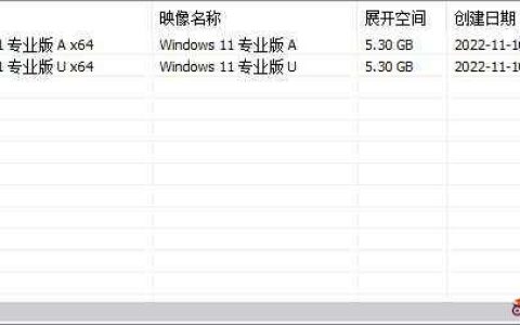 【不忘初心】免费Windows10 22H2 (19045.2787) X64 无更新 纯净[深度精简版][1.26G](2023.3.21)