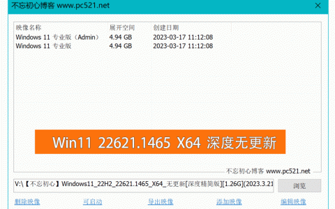 【不忘初心】 [极限精简版][0.98G]免费Windows11 22H2 (22621.1483) X64 纯净(2023.3.23)
