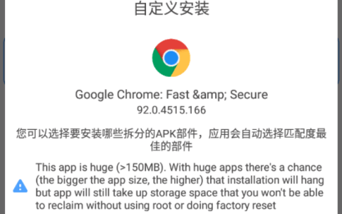 Chrome浏览器app谷歌商店版 Chrome v110.0.5481.154 正式版