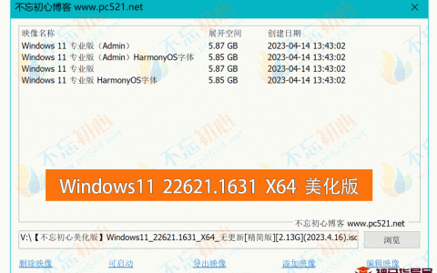 【不忘初心美化版】免费下载Windows11 22621.1631 X64 无更新[精简版][2.13G]