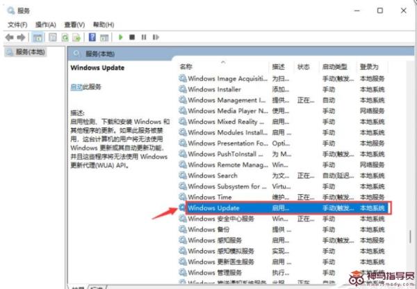 Windows11一键关闭自动更新如何操作