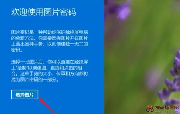 Windows11设置图片密码方法