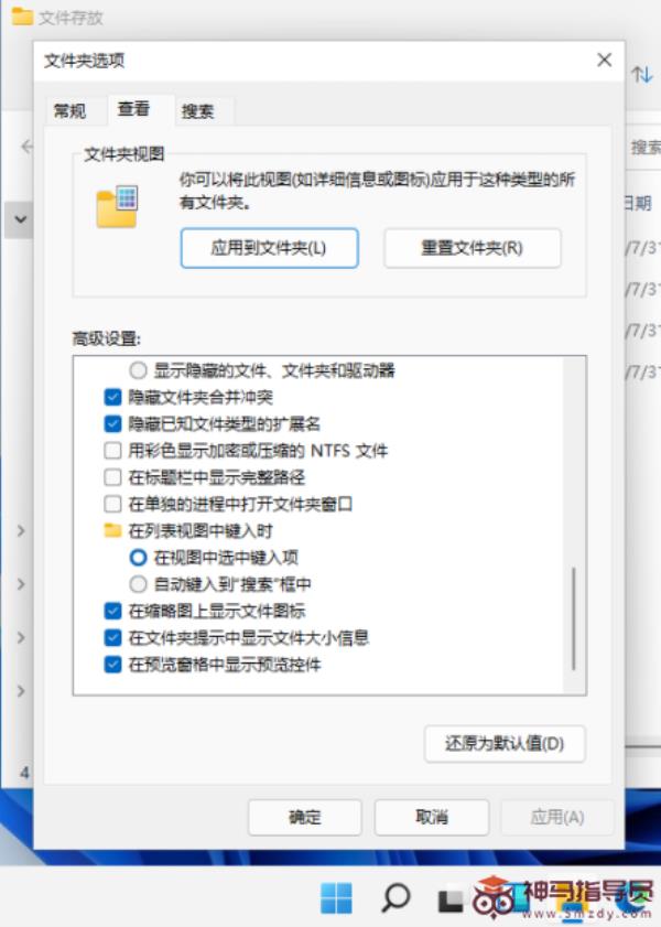 Windows11显示文件扩展名的解决办法