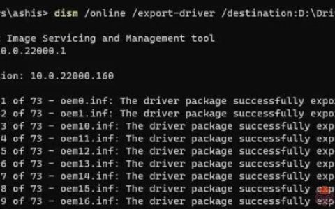 怎样在Windows11中使用DISM命令导出驱动程序？