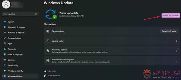 如何检查Windows11中的新更新