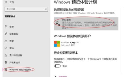 Win11最新测试版如何升级 Windows11推送dev升级的方法