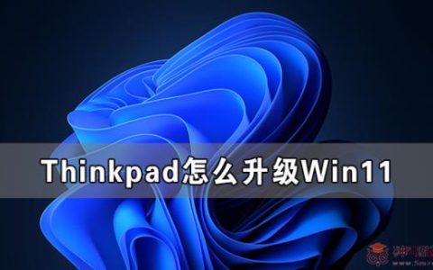 Thinkpad如何升级Win11 Thinkpad笔记本升级Win11系统方法