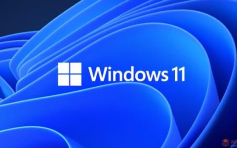 如何才能知道购买的电脑是否升级至Windows11？