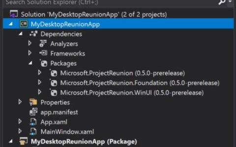 什么是Project Reunion 0.5？微软最新发布的Project Reunion 0.5是什么？