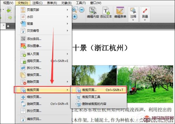 迅捷PDF编辑器裁剪PDF页面的方法
